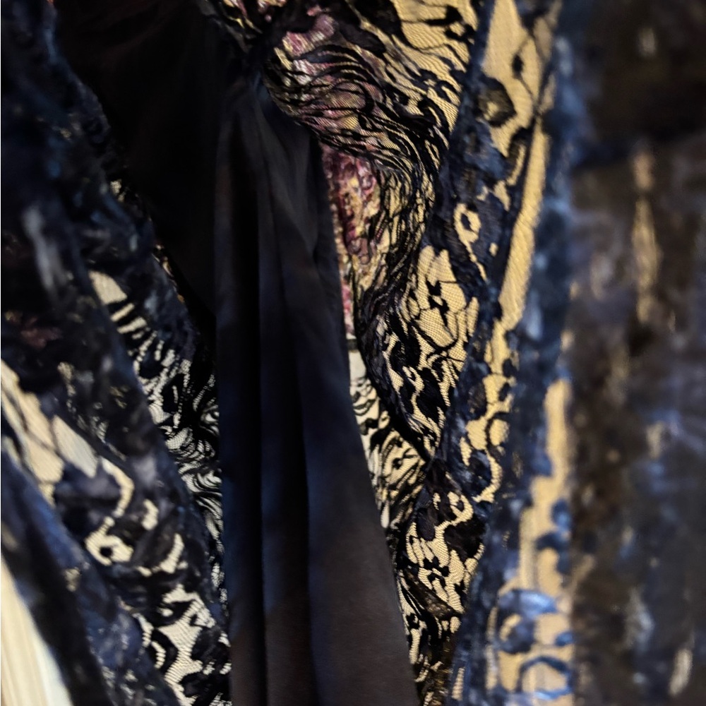 Chetta B Whimsical Goth floral and Lace Sheath sheer with slip Overlay Size 12 - Picture 5 of 6